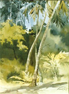 'Coconut Tree'